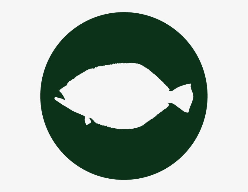 Animal Encounters - Bass - Bass - Flounder - Nussmilchbeutel, Passiertuch Für Nussmilch, Mandelmilch, transparent png