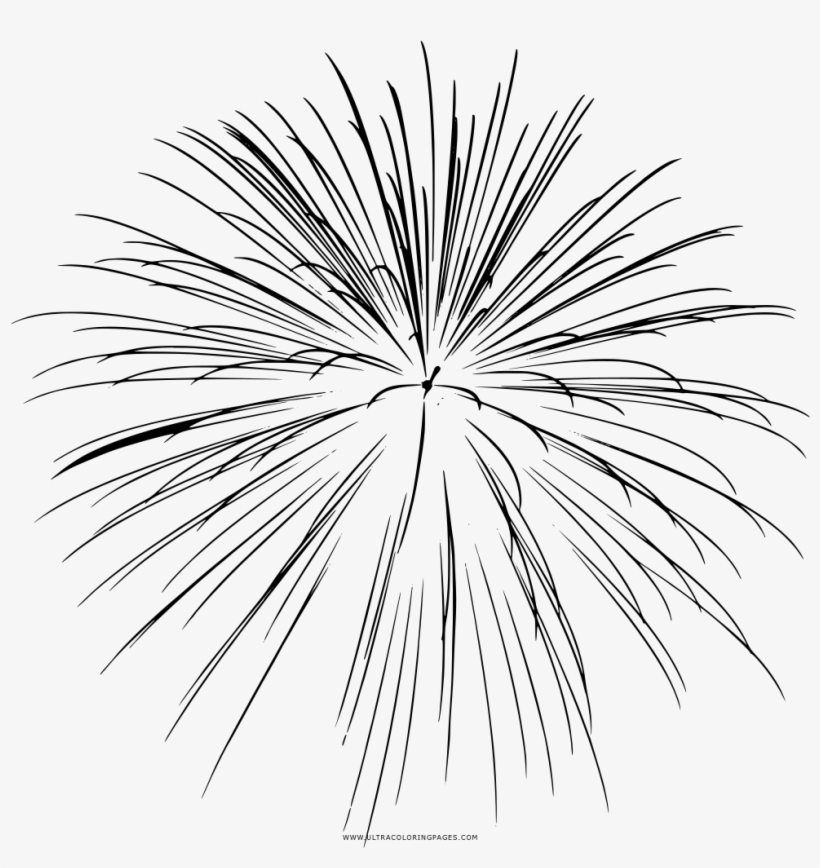 Phylogenetic Tree, transparent png