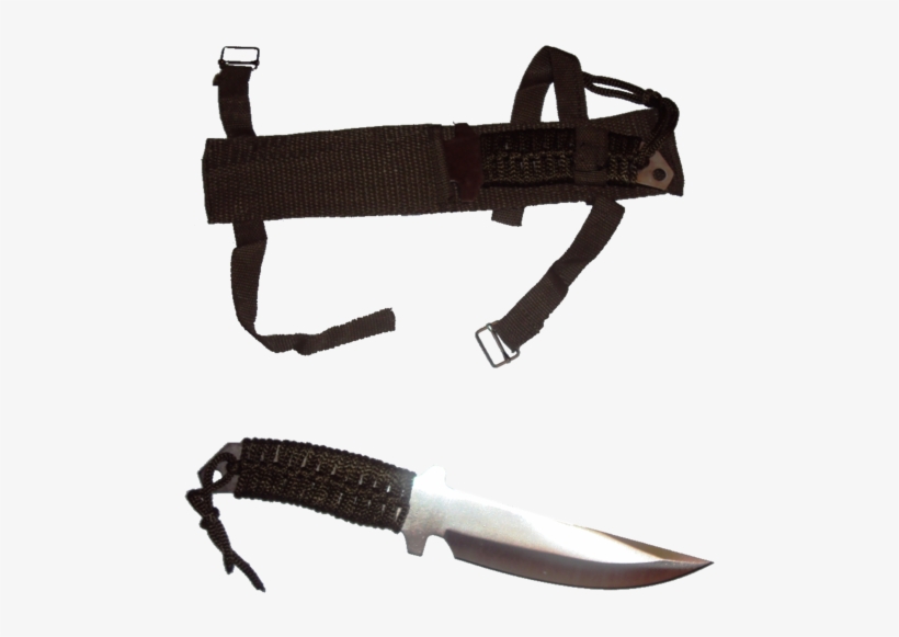 A Full Tang Construction In Silver Anodized, 420j2 - Hunting Knife, transparent png