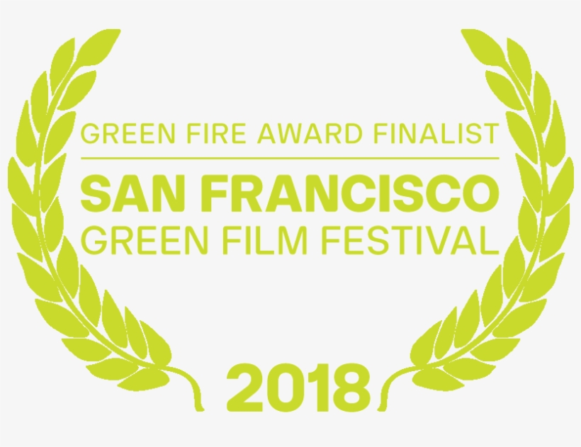 2018 Green Fire Award Finalist - 50 Year Old Birthday Tshirt Gift For Men And Women, transparent png