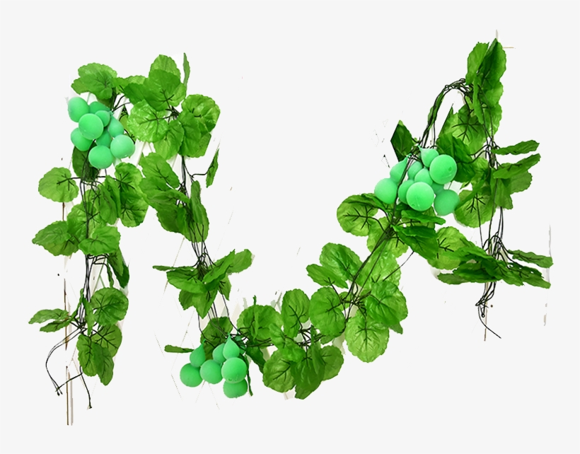 Special] Simulation Gourd Vine Fake Fruit And Vegetable - Vegetable, transparent png