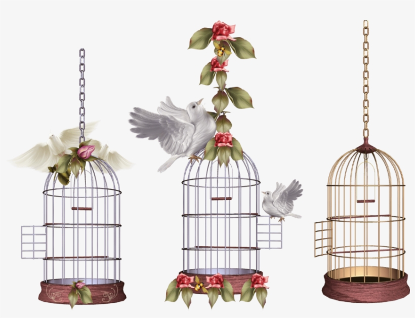 Free Png White Bird Cage Png Images Transparent - Клетка С Птицей Рисунок, transparent png
