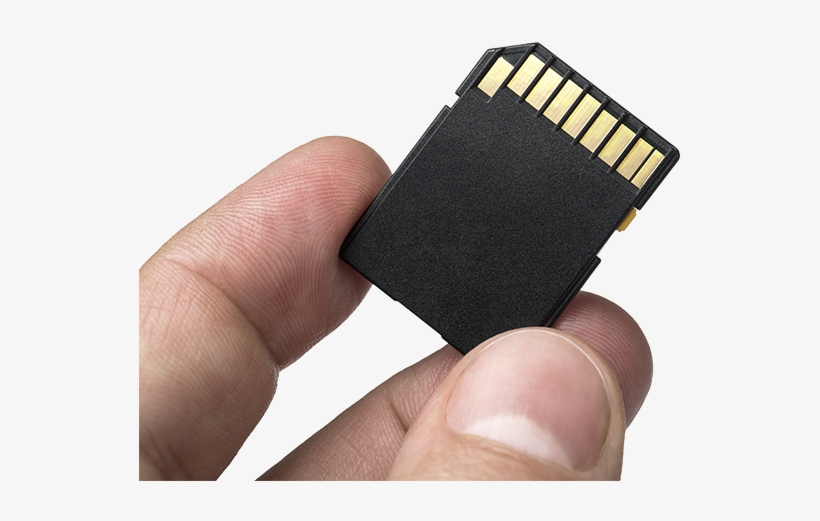 Lost Photos On A Sd-card - Micro Sd Kingston 2gb, transparent png