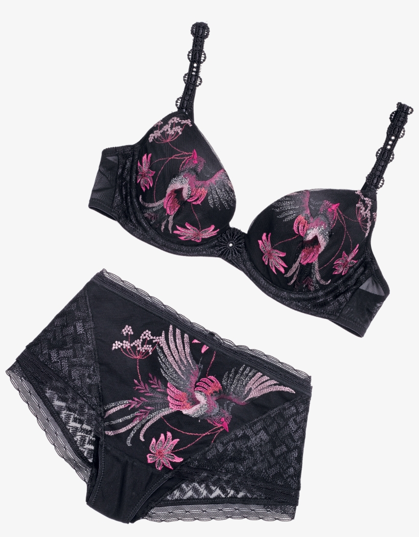 Lingerie Top, transparent png