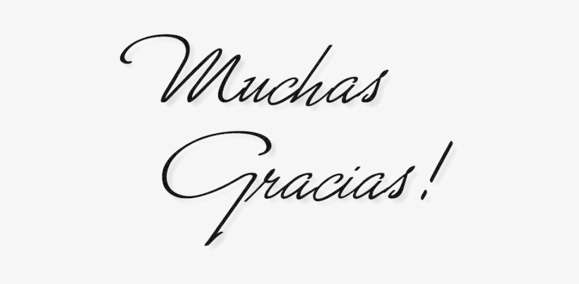 Agradecemos Su Donación - Gracias Clipart, transparent png