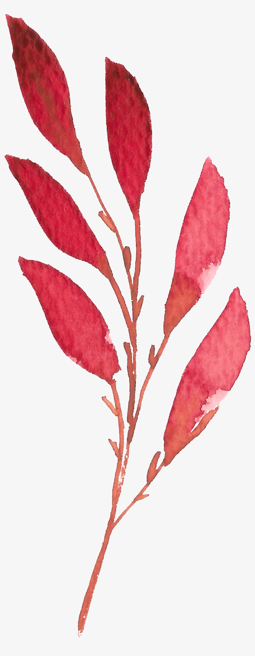 Hand Painted A Red Leaf Watercolor Transparent - Watercolor Painting, transparent png