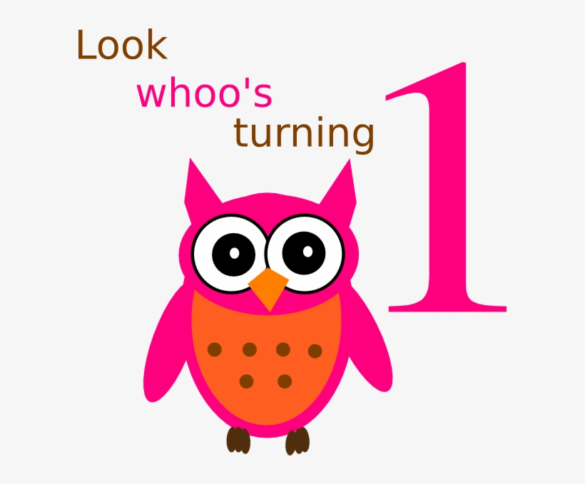 Owl 1st Birthday Svg Clip Arts 600 X 599 Px, transparent png