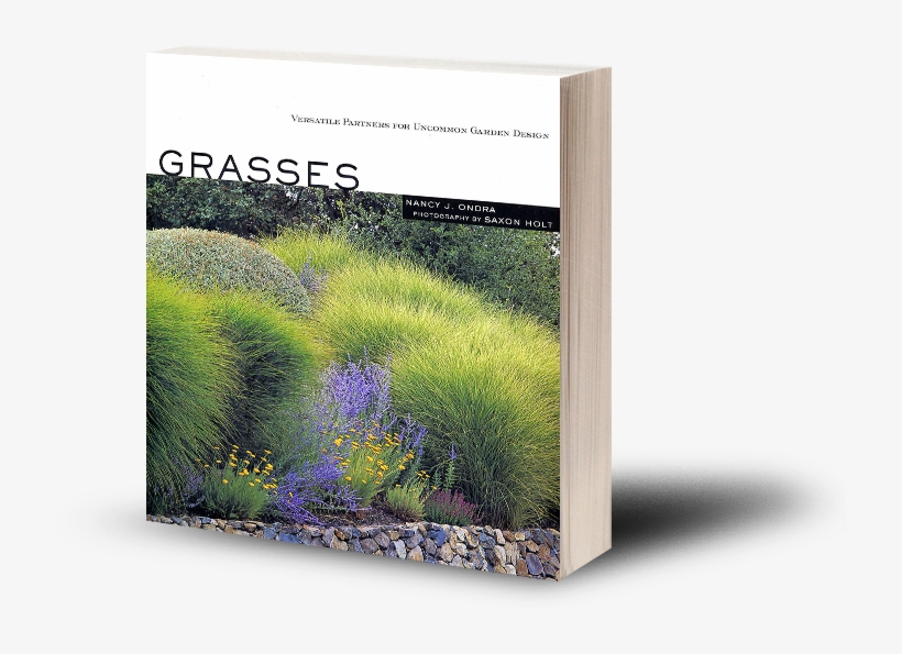 Top Rated Products - Grasses Versatile Partners For Uncommon Garden... By, transparent png