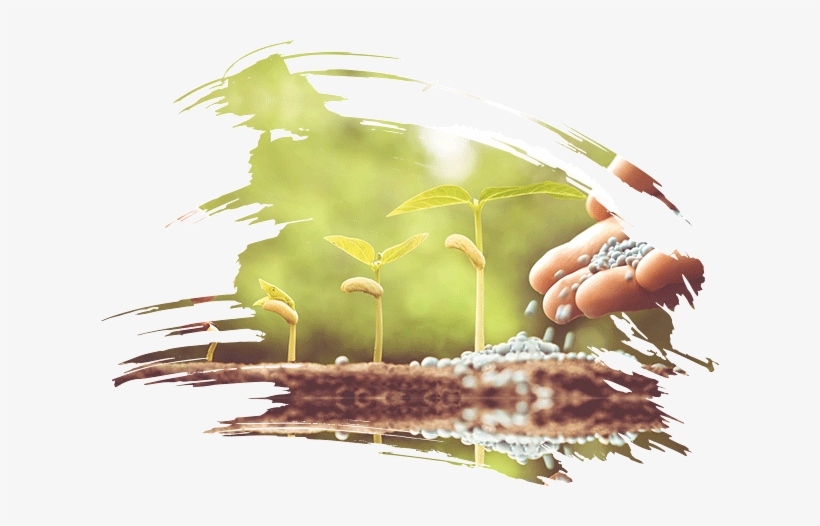 Talk Suicide Education - Illustration, transparent png