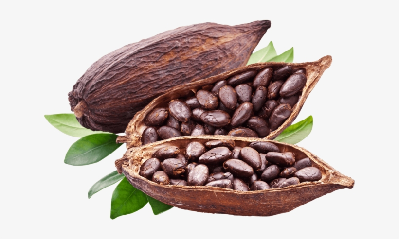 Cocoa Beans - Mesmara Raw Unrefined Cocoa Butter 150g, transparent png