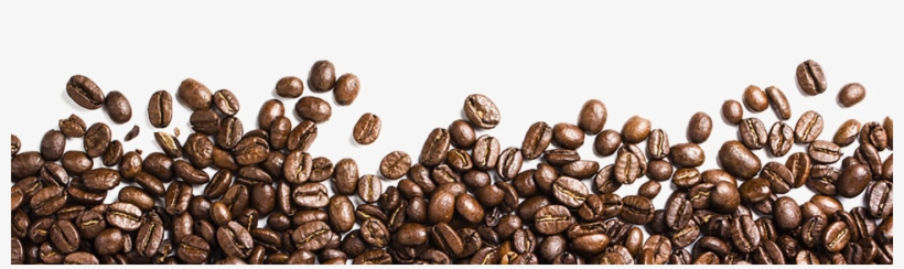 Coffee Beans Png Free Download - Coffee Bean Png Transparent, transparent png