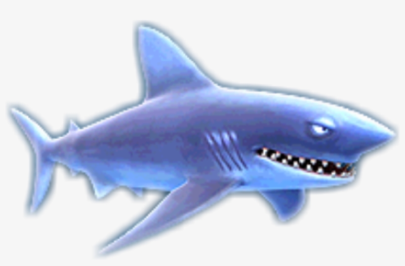 Makoshark - Shortfin Mako Shark, transparent png