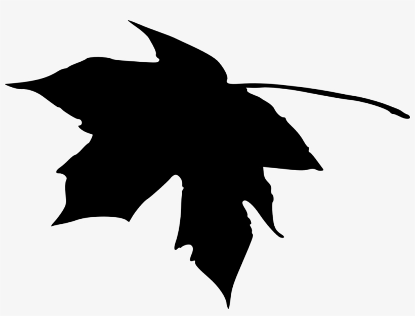 Png File Size - Leaf Silhouette Png, transparent png