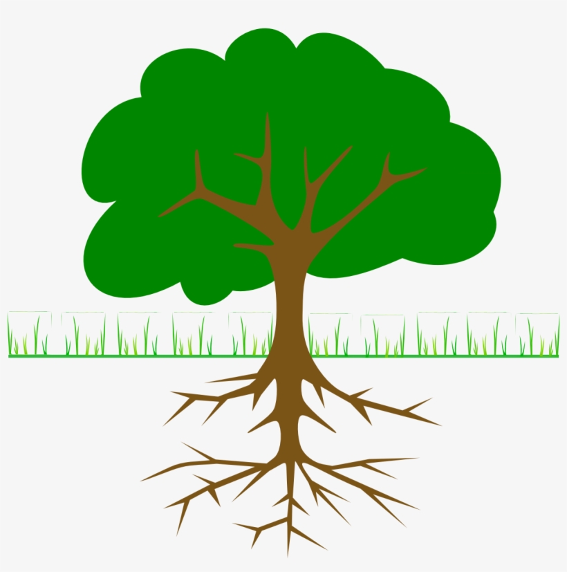 Branches And Roots - Tree Clip Art, transparent png