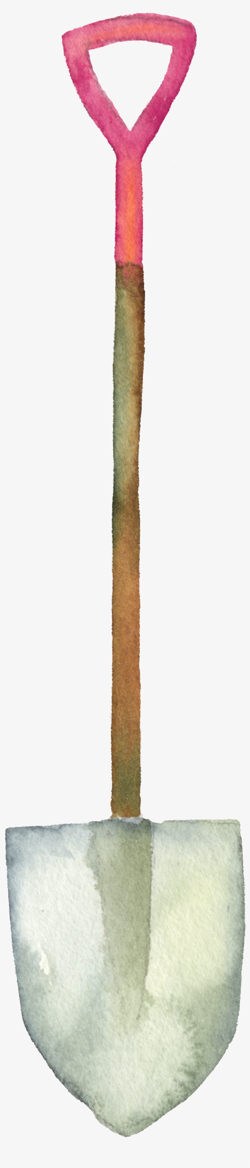 Color, transparent png