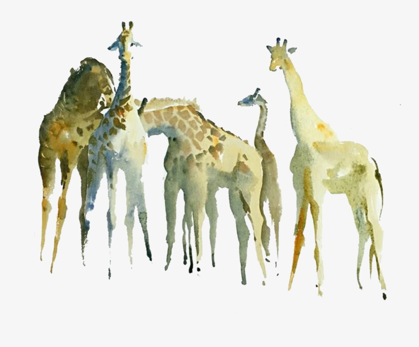 Northern Giraffe Watercolor Painting Drawing - Northern Giraffe, transparent png