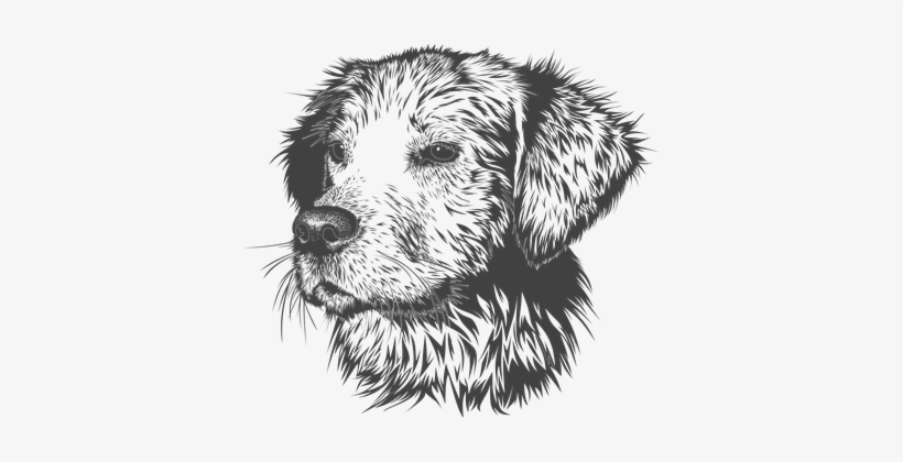 Dog, Animal, Domestic Animal, Doggie - Animal Head Vector Black White, transparent png