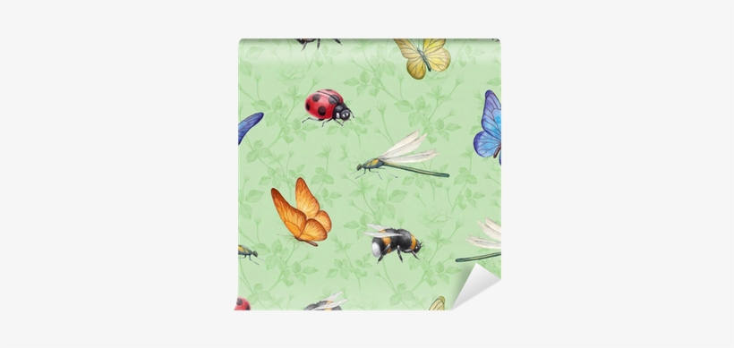 Watercolor Insects Illustrations - Watercolor Painting, transparent png