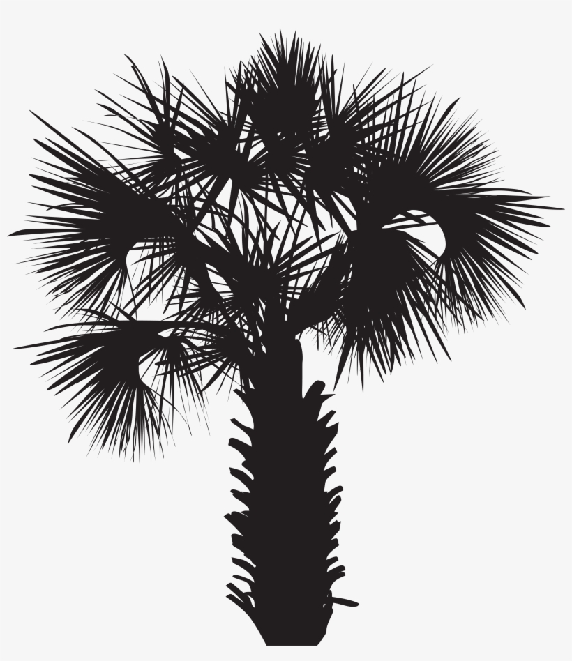 Palm Tree Silhouette Png, transparent png
