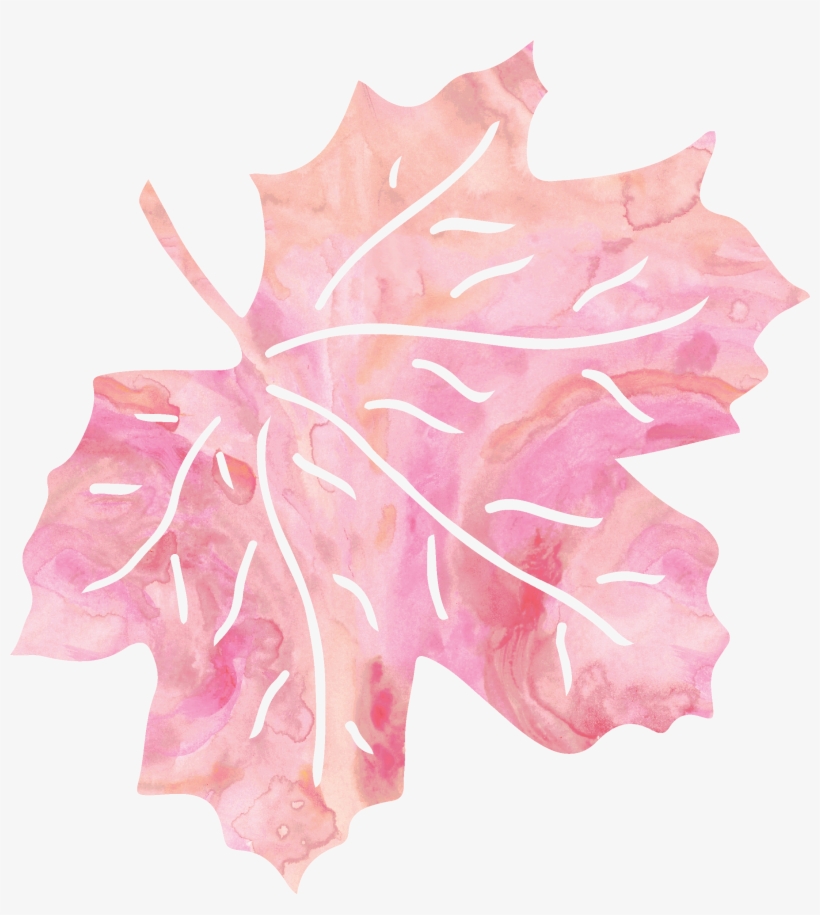 Leaf Pink Petal - Pink Leaf Transparent, transparent png