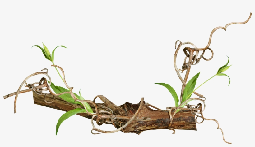 Clip Art Freeuse Info - Vintage Branch Png, transparent png