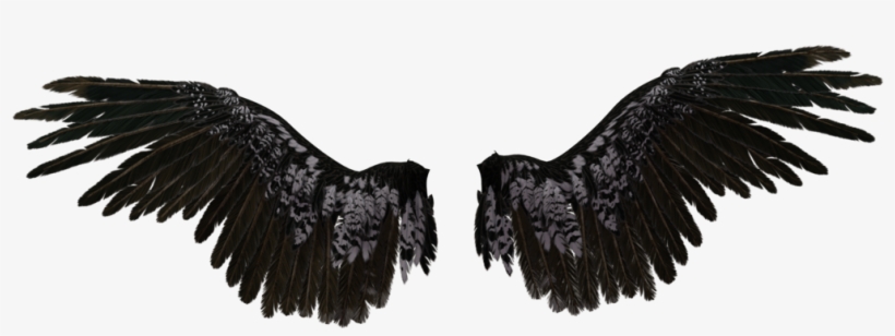 Transparent Angel Wings - Black Angel Wings Transparent, transparent png