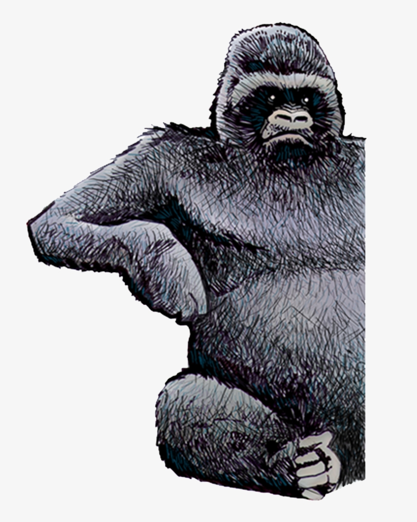 Home - - Mountain Gorilla, transparent png