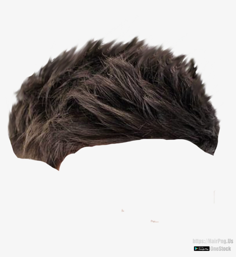 Hair Png - Hair, transparent png