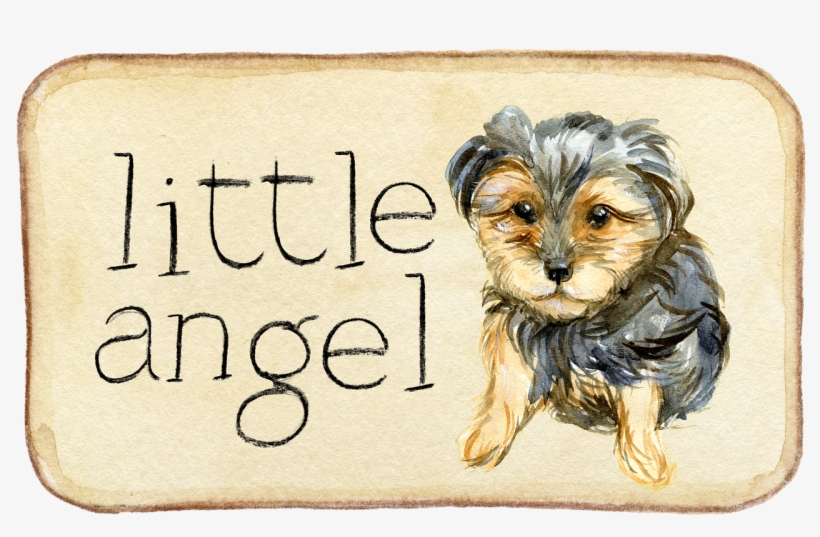 Cafepress ! Rectangular Canvas Pillow, transparent png