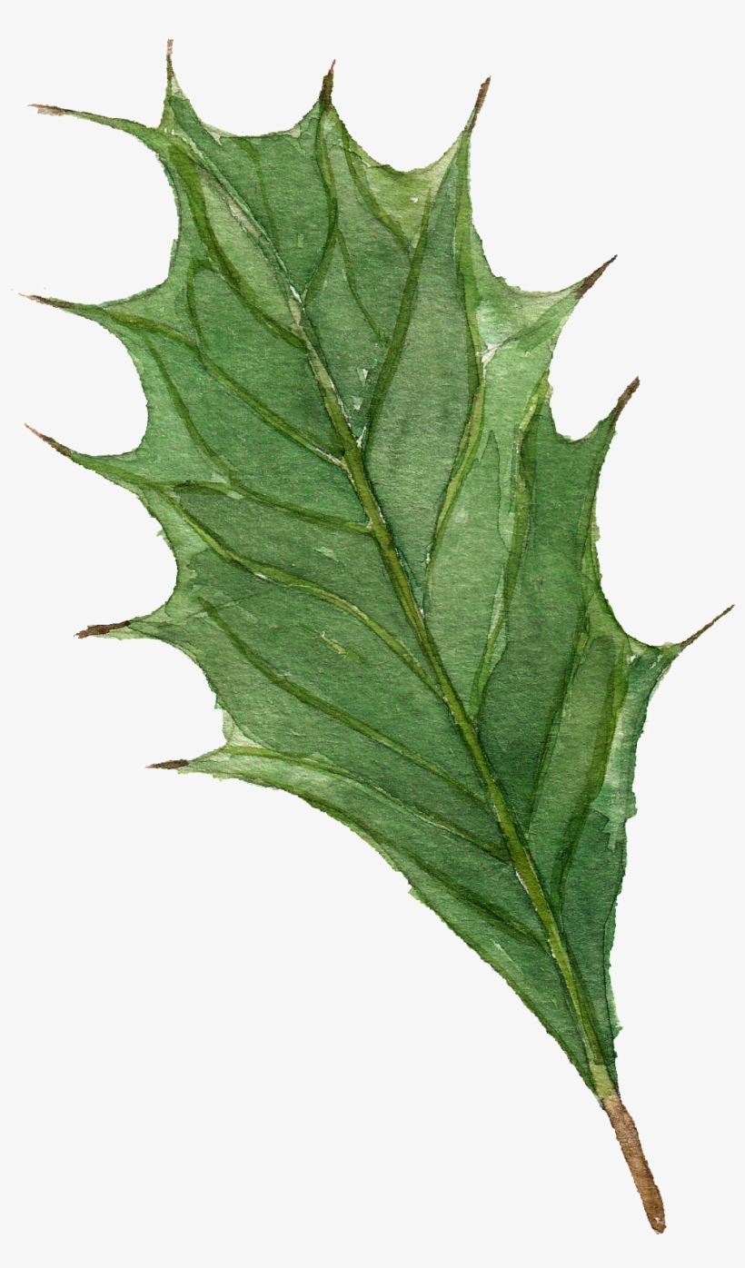 Hand Painted Watercolor Leaves Free Illustration - Watercolor Painting, transparent png