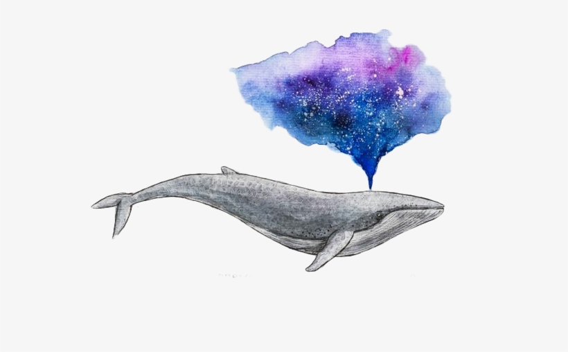 Watercolor Painting Drawing Whale Art - Watercolour Whale, transparent png
