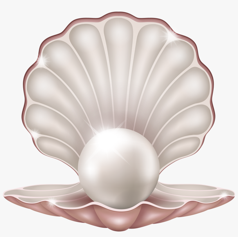 Free Png Beautiful Clam With Pearl Png Images Transparent - Pearl Png, transparent png