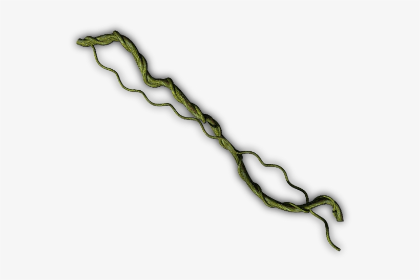 Junglevine-b, transparent png