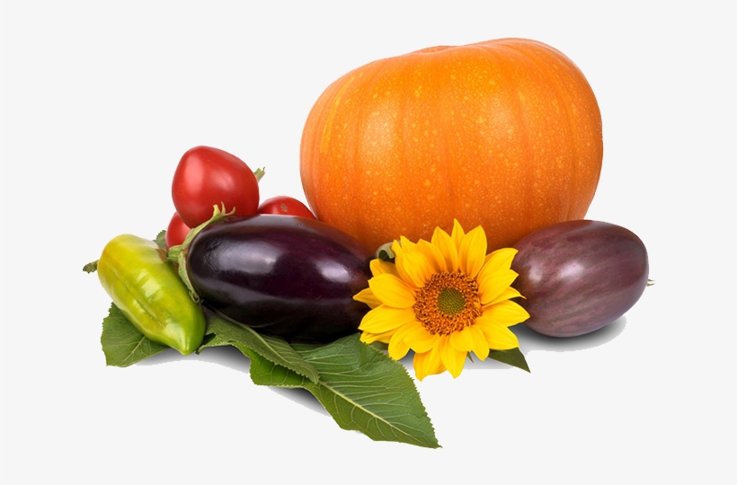 Thanksgiving Pumpkin Png Image - Lds Quote Food Storige, transparent png