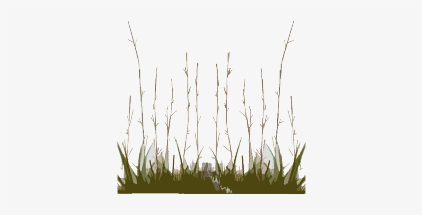 Description Backgrounds 1423862825 Prairie Intro - Sweet Grass, transparent png