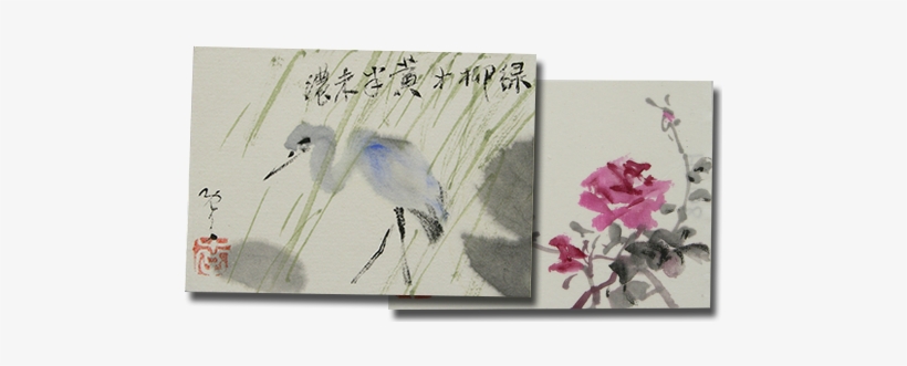 Thank-cards - Bougainvillea, transparent png