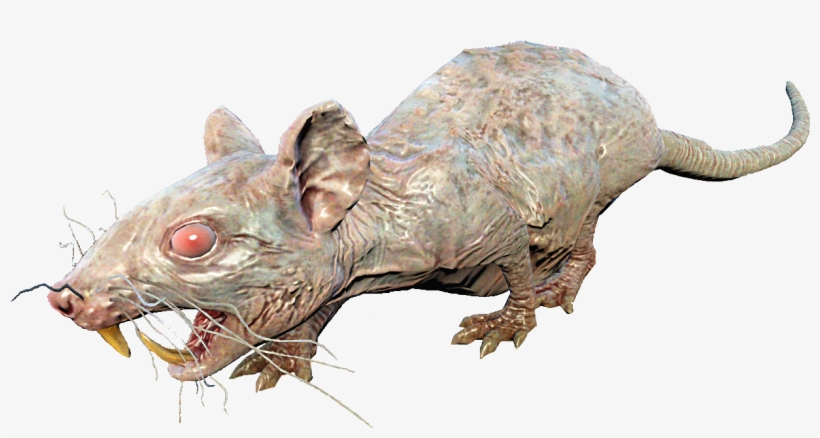 Fo4nw Rad-rat - Fallout 4 Rad Rat, transparent png