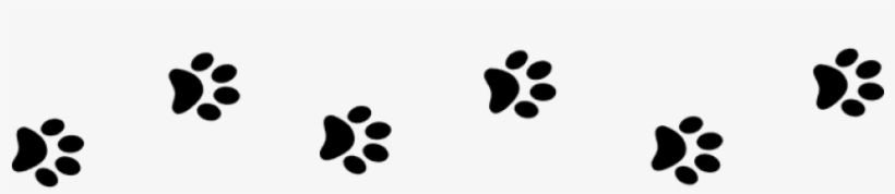 Animals - Contorno De Huellas Gato, transparent png