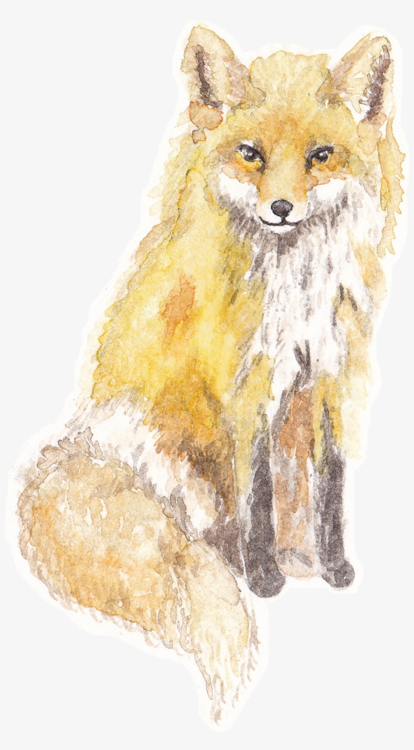 Handpainted Watercolour Logo For A Small Flower Farm - Red Fox, transparent png