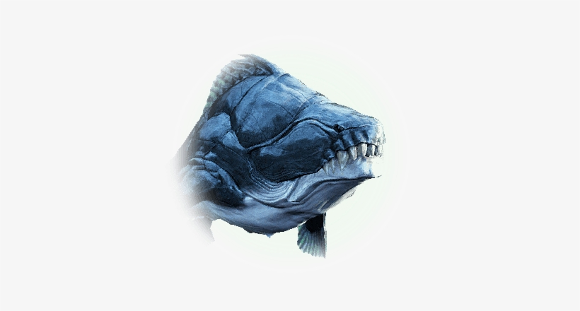 It Has Hard Scales And Sharp Teeth, And Its Strong - Margoria Black Desert, transparent png