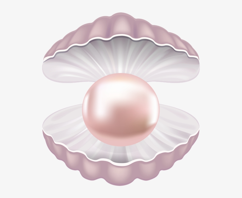 Clip Art Library Pearl Shell Transparent Clip Art Image - Shell Pearl Clipart Png, transparent png