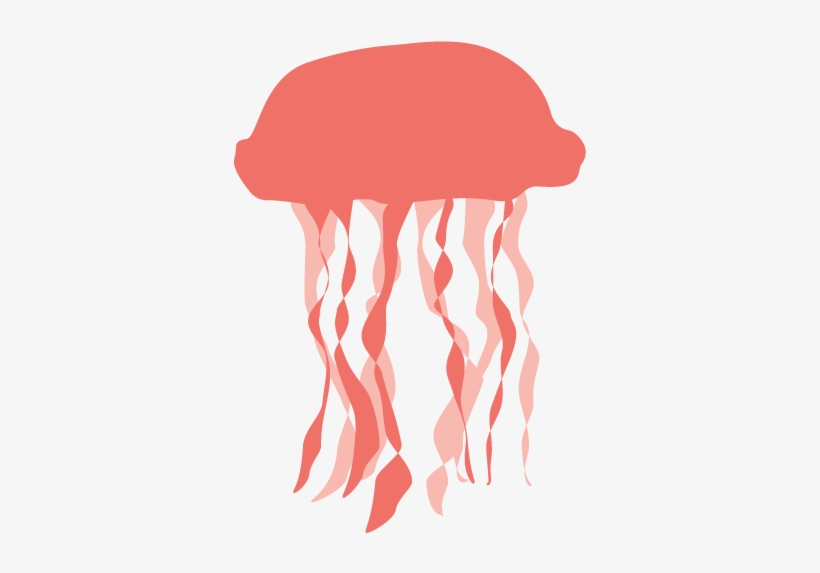 Jellyfish Png Transparent - Jellyfish, transparent png
