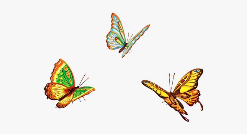0, - Butterflies Png, transparent png