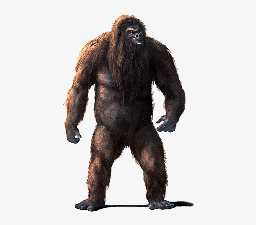 Trees Branches Snapped And Plummeted To The Forest - Scary Monster Full Body, transparent png