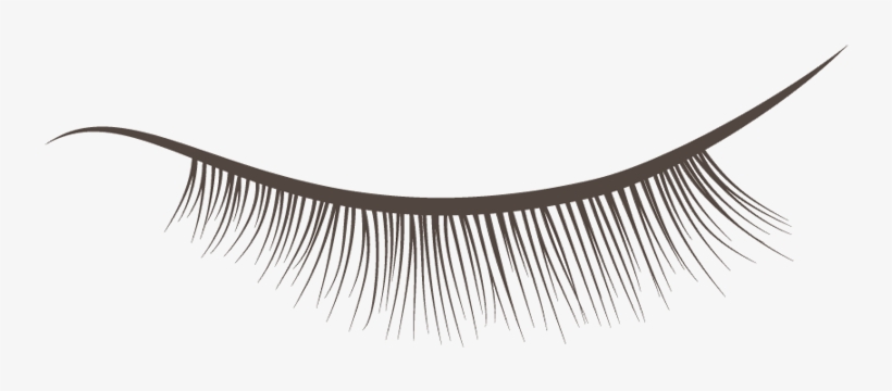 Brush Vector Eyelash - Eyelash Extensions, transparent png