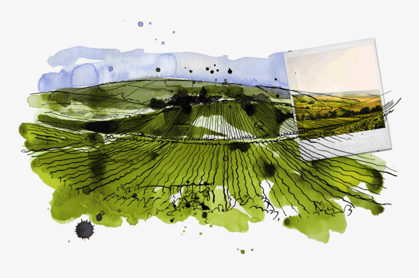 Urville And Its Region - Grass, transparent png