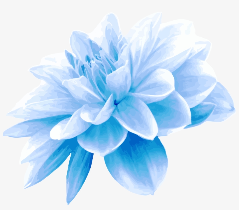 Collection Of Free Flower Transpa Blue On Ubisafe - Light Blue Flower Png, transparent png