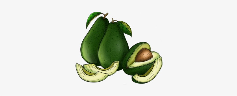 Avocado, Avocado, Food, Background Png And Psd - Common Guava, transparent png