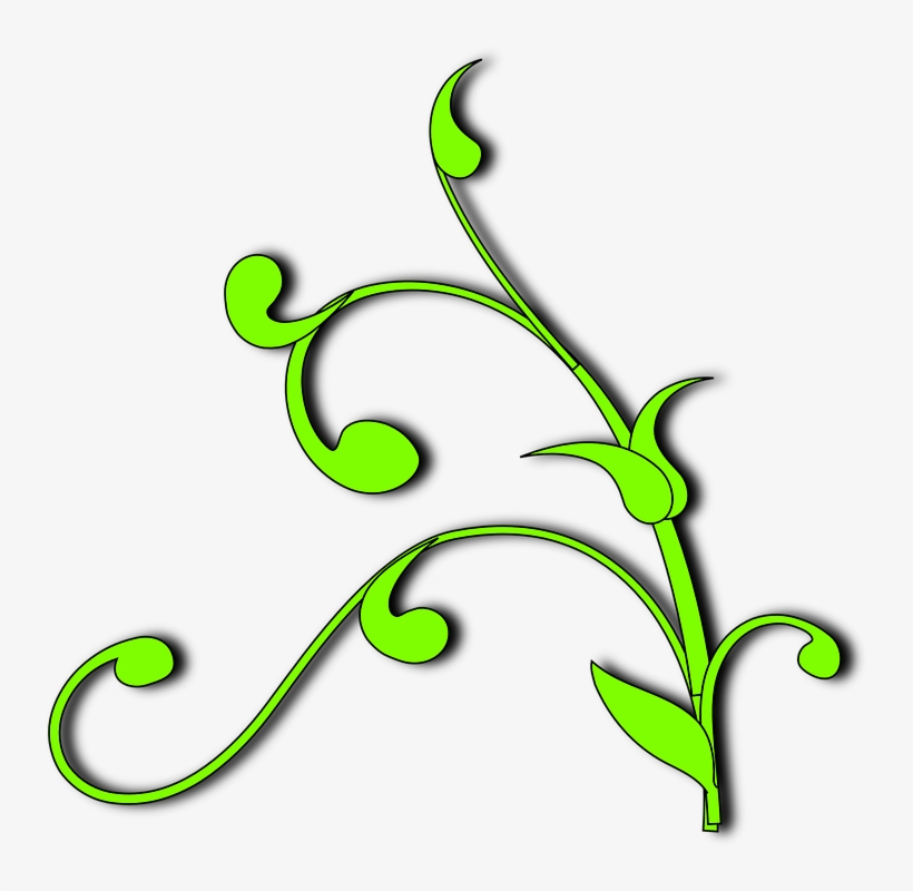 How To Set Use Plant Vine Clipart, transparent png