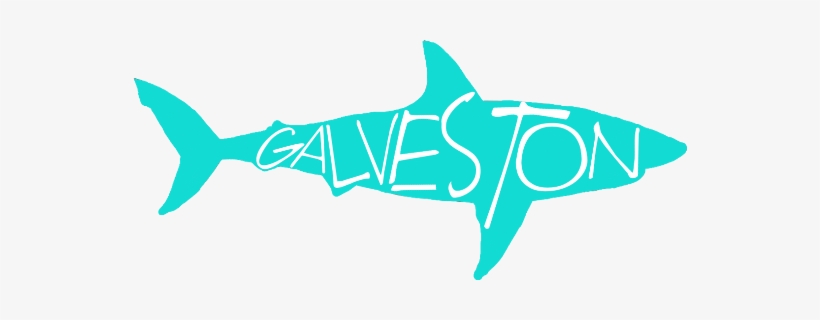 Shark Galveston Freetoedit - Squaliformes, transparent png